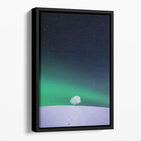 Apple Floating Framed Canvas